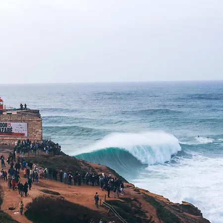 ゲストハウス Surf Santa Cruz *